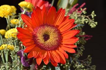 red sunflower in an arrangement