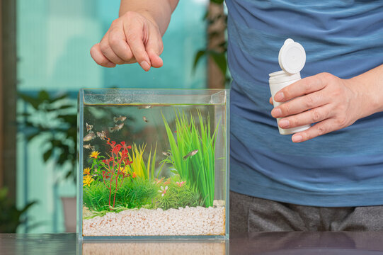 A middle-aged Asian man who feeds the guppy he raises in a small fishbowl.