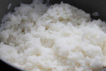 ご飯