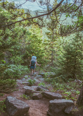 Woman hiking with baby through a lush mountainous region