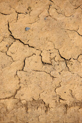 皹割れの地面