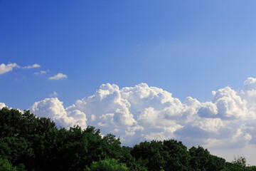 Obraz premium 山と雲