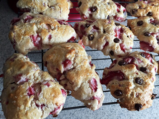 Fresh, Homemade Strawberry and Chocolate Chip Scones Freshly Baked and Hot out of the Oven, Cooling...