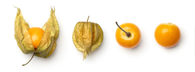 Collection of physalis berries isolated on white background