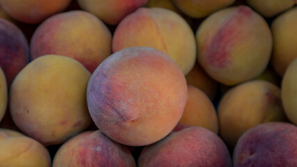 Ripe peaches harvested and ready to sell

