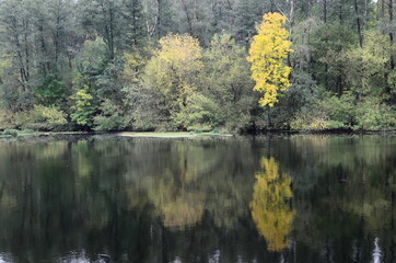 autumn trees reflected in water