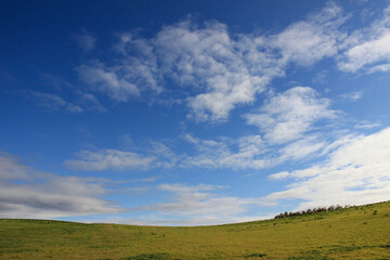 緑の草原と青空
