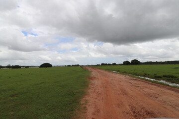 road in the field