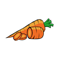 carrot vegetable vector illustration. good for food, kitchen, restaurant, or ingredient cooking theme. flat color hand-drawn style