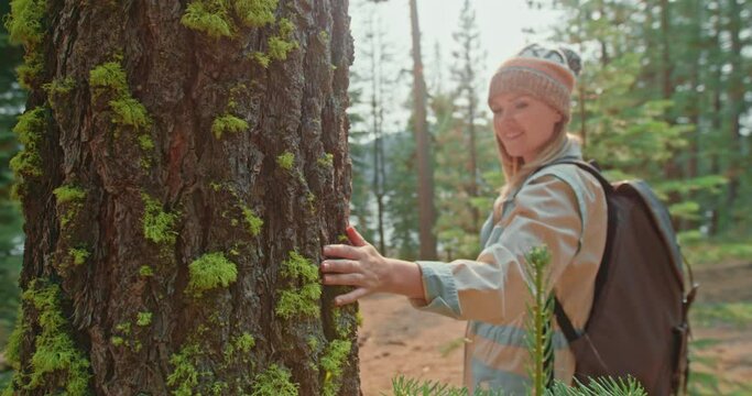 Woman supporting environment palm tree trunk with bark covered by green moss. Hand of female environmental activist is gently touches tree in woods. Nature lover on sunny autumn day. Care about nature