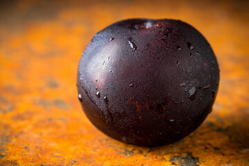 Freshly harvested red plum with condensation at cold autumn morning. Selective focus. Shallow depth of field.