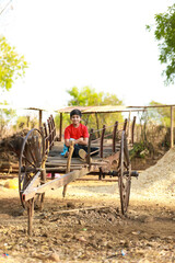 Indian little boy seating on bull cart
