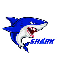 shark mascot cartoon in vector
