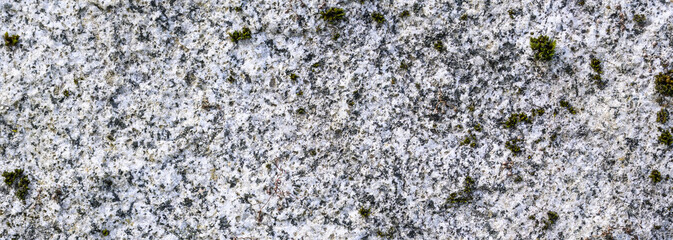 Closeup of gray textured stone with green moss and lichen growing on it, as a nature background
