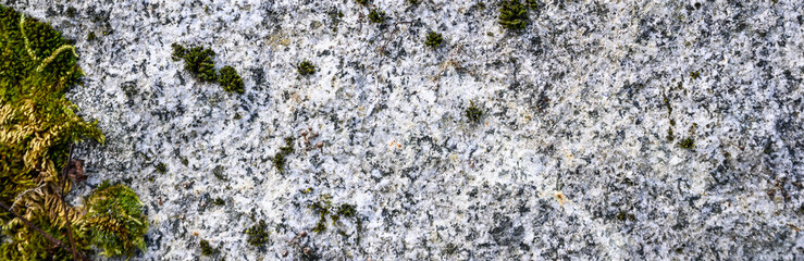 Closeup of gray textured stone with green moss and lichen growing on it, as a nature background
