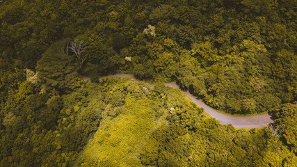 Aerial road in the forest, Oahu, Hawaii
