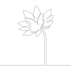 Living vegetable symbol of lotus flower