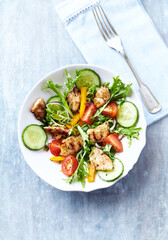 Healthy Salad with Chicken Breast, Cherry Tomatoes, Cucumber, Orange Pepper, Endive and Red Onion. Top view.	