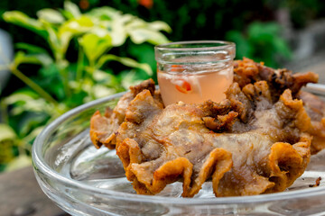 Chicharon Bulaklak, an exotic Filipino snack served with spicy vinegar. Garden setting.