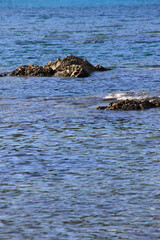 Fototapeta premium 屋久島の海