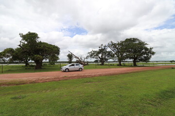 Fototapeta premium cart on the golf course