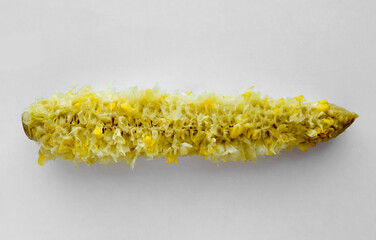 The yellow corn.