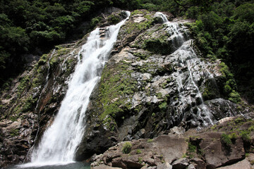 Obraz premium 大川の滝