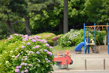 子育てにも大切な近隣の児童遊園、横山公園（神奈川県相模原市中央区）