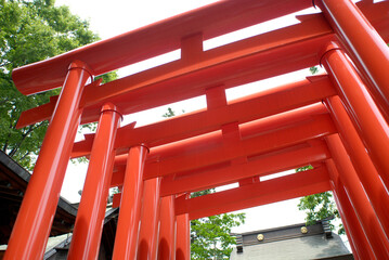 神社の連なる鳥居