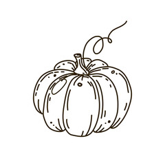 Vector illustration of pumpkin outline Doodle icon isolated on white background.