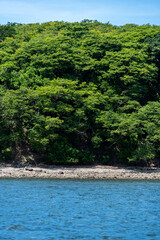 Beautiful view of the San Lucas Island in Costa Rica  and its wild life