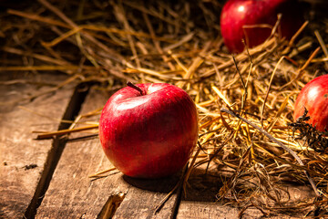 apples on a wooden floor on a straw mat
