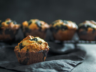 Homemade vegan blueberry muffins on dark background. Copy space for text or design. Low key