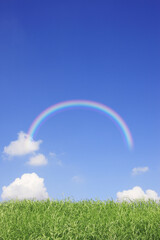 草原と雲と虹