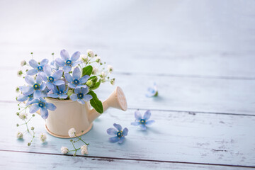 ブルースターの花　ガーデニングのイメージ背景 © shironagasukujira