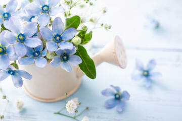 ブルースターの花　ガーデニングのイメージ背景