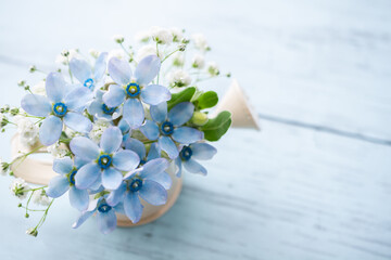 ブルースターの花　ガーデニングのイメージ背景 © shironagasukujira