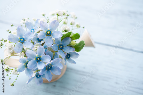 ブルースターの花 ガーデニングのイメージ背景 Background Wall Mural Backgrou Shironagasukujira