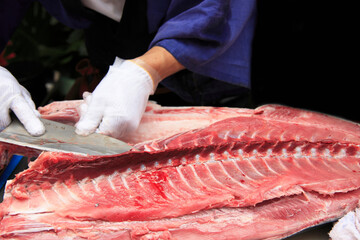 マグロの解体ショー