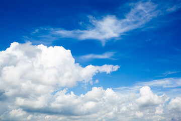 Naklejka na ściany i meble White cumulus clouds and a blue sky.