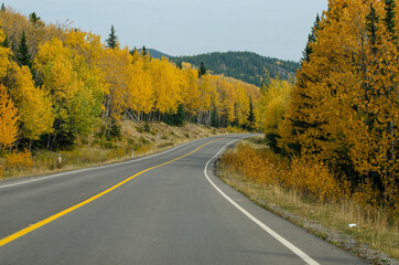 Fototapeta premium Road in Kananaskis Country Alberta Canada