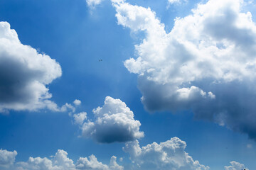 Naklejka na ściany i meble daytime sky with cumulus clouds. small birds high in the sky