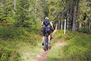 Naklejka premium Mountainbiker im Böhmerwald, Tschechien
