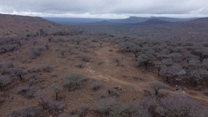 The beautiful landscape of a game reserve in South Africa
