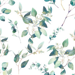 Watercolor eucalyptus seamless pattern. Hand painted floral texture with plant objects on white background. Natural wallpaper