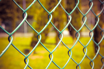 Fototapeta premium Green metal wire mesh against a green area - toned image