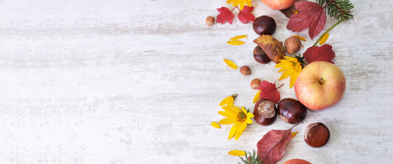red apples, brown, yellow flowers with leaves in autumnal still life on white background