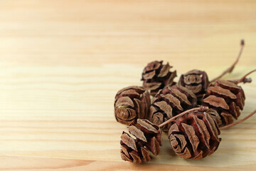 Closeup heap of dry natural tiny pine cones isolated on wooden table with copy space