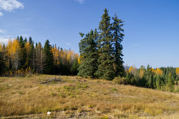 An Autumn Scene in Nordegg