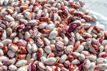 Kidney bean texture background. A large, kidney-shaped bean with a subtle sweet flavor and soft texture. A large number of beans are in the drying process